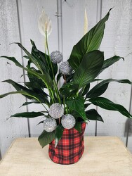 Holiday Fun from Kircher's Flowers in Defiance and Paulding, OH