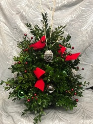 Boxwood Tree from Kircher's Flowers in Defiance and Paulding, OH