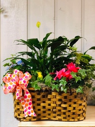 Spring Garden Basket from Kircher's Flowers in Defiance and Paulding, OH