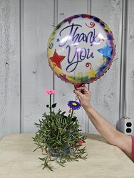 Impeccable from Kircher's Flowers in Defiance and Paulding, OH