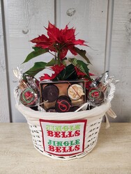 Jingle Bells from Kircher's Flowers in Defiance and Paulding, OH