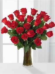 Two Dozen Roses from Kircher's Flowers in Defiance and Paulding, OH