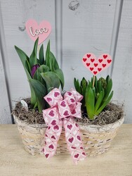 Love is in the Air from Kircher's Flowers in Defiance and Paulding, OH