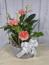Modern Planter  from Kircher's Flowers in Defiance and Paulding, OH
