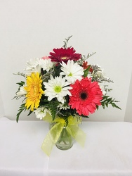 Daisy Delight from Kircher's Flowers in Defiance and Paulding, OH