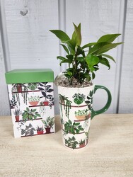 Plant Lover from Kircher's Flowers in Defiance and Paulding, OH