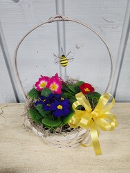 Primrose Garden from Kircher's Flowers in Defiance and Paulding, OH