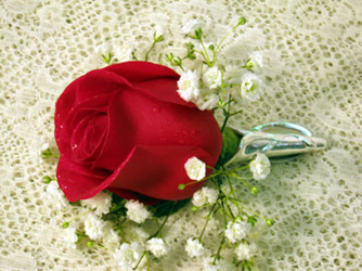 Red boutonniere from Kircher's Flowers in Defiance and Paulding, OH