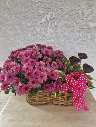 Resilience from Kircher's Flowers in Defiance and Paulding, OH