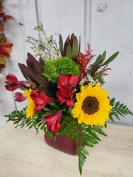 Serenade  from Kircher's Flowers in Defiance and Paulding, OH