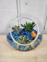 Small Succulent Terrarium from Kircher's Flowers in Defiance and Paulding, OH