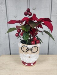 St. Nick from Kircher's Flowers in Defiance and Paulding, OH