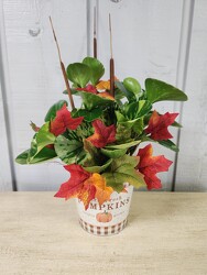 The Colors of Fall from Kircher's Flowers in Defiance and Paulding, OH