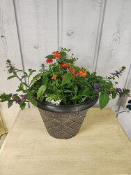 Trixie Combo Pot from Kircher's Flowers in Defiance and Paulding, OH