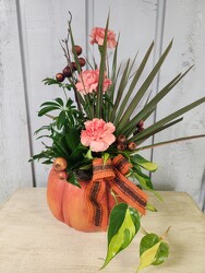 Woodland from Kircher's Flowers in Defiance and Paulding, OH