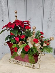 Yuletide Beauty from Kircher's Flowers in Defiance and Paulding, OH Yuletide Beauty from Kircher's Flowers in Defiance and Paulding, OH