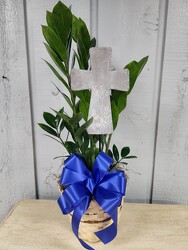 ZZ Plant from Kircher's Flowers in Defiance and Paulding, OH