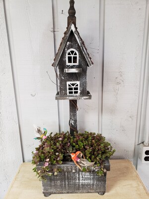 Birdhouse Succulent Garden