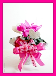 Sophisticated Cyclamen from Kircher's Flowers in Defiance and Paulding, OH