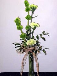 Lucky Charm from Kircher's Flowers in Defiance and Paulding, OH